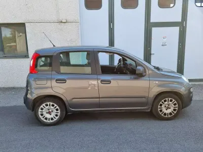 Usata Fiat Panda Lounge 69 CV (50 kW) 2017 Grigio Utilitaria