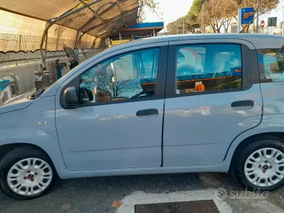 Usata Fiat Panda Easy 69 CV (50 kW) 2019 Utilitaria