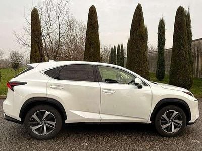 Usata Lexus NX300h Luxury Line 155 CV (114 kW) 2019 Bianco SUV