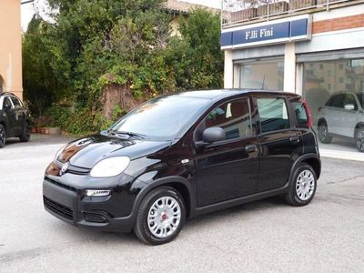 usata Fiat Panda 1.0 FireFly S&S Hybrid