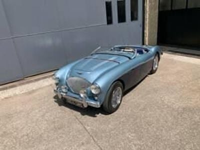 Usata Austin Healey 100 90 CV (66 kW) 1954 Altri Cabrio