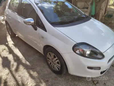 Usata Fiat Punto 85 CV (62 kW) 2013 Bianco Utilitaria