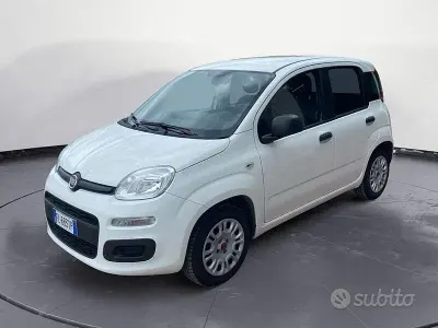 Usata Fiat Panda 70 CV (51 kW) 2017 Bianco Utilitaria