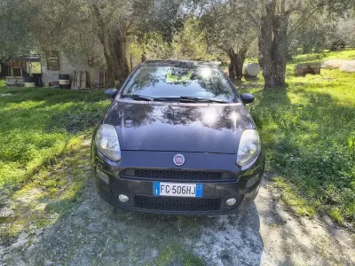 Usata Fiat Punto Lounge 95 CV (69 kW) 2016 Utilitaria
