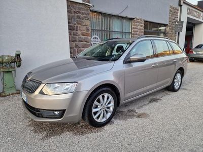 usata Skoda Octavia 1.6 TDI CR 110 CV 4x4 Wagon Ambition