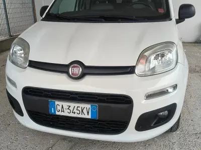 Usata Fiat Panda 84 CV (61 kW) 2020 Utilitaria
