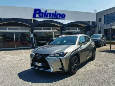 Usata Lexus UX Business Edition 152 CV (111 kW) 2020 Grigio SUV