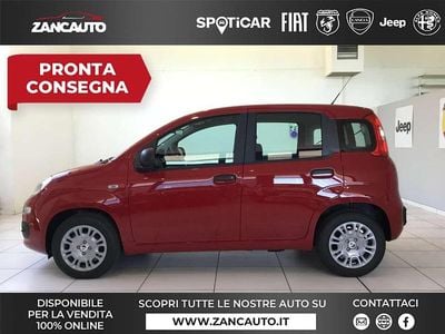 Nuova Fiat Panda S 70 CV (51 kW) 2025 Bianco Utilitaria