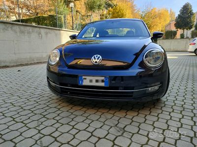 usata VW Maggiolino 1.6 tdi