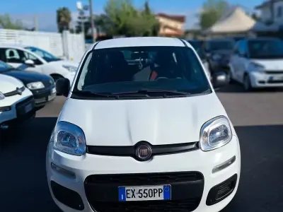Usata Fiat Panda Easy 75 CV (55 kW) 2014 Bianco Utilitaria