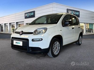 Usata Fiat Panda S 70 CV (51 kW) 2024 Bianco Utilitaria
