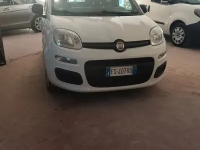 Usata Fiat Panda Easy 69 CV (50 kW) 2018 Bianco Utilitaria