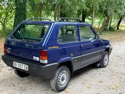 Usata Fiat Panda 4x4 Trekking 54 CV (39 kW) 1999 Blu Utilitaria