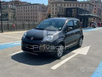 Usata Fiat Panda Red 70 CV (51 kW) 2022 Grigio Utilitaria