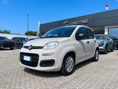 Usata Fiat Panda Easy 95 CV (69 kW) 2015 Beige Utilitaria