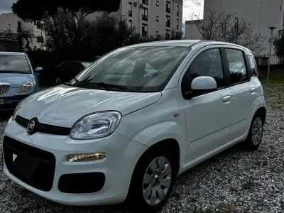 Usata Fiat Panda Easy 69 CV (50 kW) 2017 Bianco Utilitaria