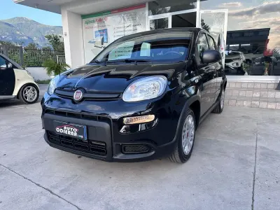 Usata Fiat Panda