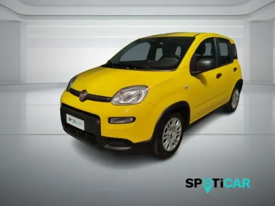 Usata Fiat Panda S 70 CV (51 kW) 2024 Giallo Utilitaria