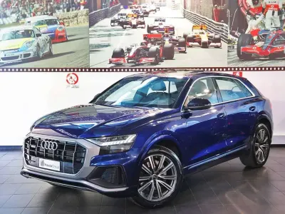 Usata Audi Q8