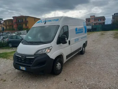 Usata Opel Movano S 119 CV (87 kW) 2022 Bianco Furgone