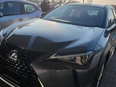 Usata Lexus UX 152 CV (111 kW) 2021 Grigio SUV