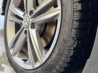 Usata VW Golf VIII Edition 150 CV (110 kW) 2020 Grigio Berlina