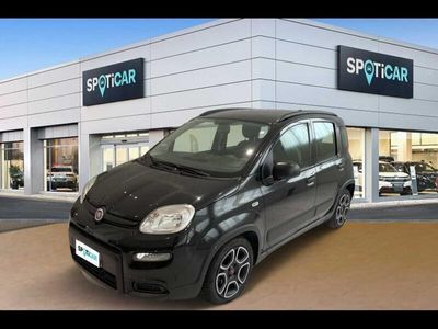 usata Fiat Panda 1.0 FireFly 70cv S&S Hybrid City Life City Lif