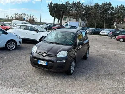 Usata Fiat Panda Easy 80 CV (58 kW) 2013 Marrone Utilitaria