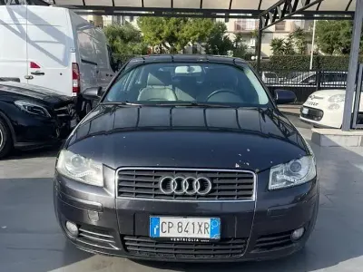 Usata Audi A3 Ambition 140 CV (102 kW) 2004 Utilitaria