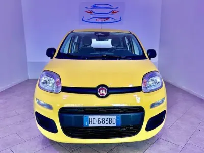 Usata Fiat Panda