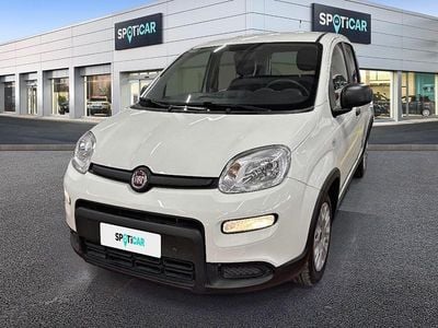 Usata Fiat Panda S 69 CV (50 kW) 2024 Bianco Utilitaria