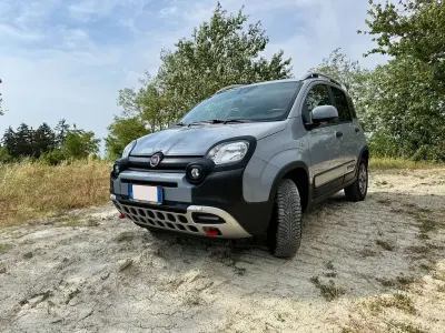 Usata Fiat Panda 4x4 S 86 CV (63 kW) 2019 Grigio Utilitaria