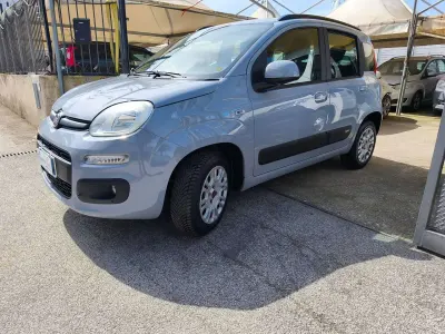 Usata Fiat Panda 129 CV (94 kW) 2018 Grigio Utilitaria