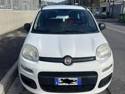 Usata Fiat Panda 69 CV (50 kW) 2013 Bianco Utilitaria
