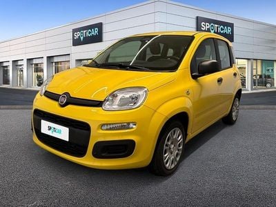 Nuova Fiat Panda Pop 70 CV (51 kW) 2025 Giallo Utilitaria