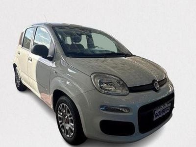 Usata Fiat Panda Easy 69 CV (50 kW) 2018 Bianco Utilitaria