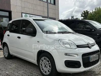 Usata Fiat Panda Easy 69 CV (50 kW) 2017 Bianco Utilitaria