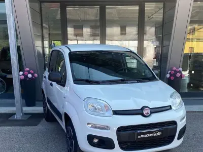 Usata Fiat Panda 4x4