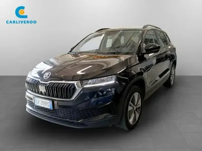 Usata Skoda Karoq