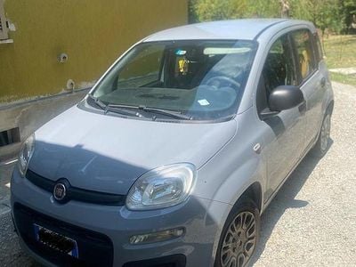Usata Fiat Panda 69 CV (50 kW) 2019 Grigio Utilitaria