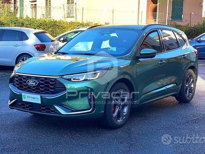 Usata Ford Kuga ST-Line X 180 CV (132 kW) 2024 Verde SUV