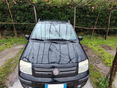 Nero Usata 2005 Fiat Panda Dynamic Utilitaria | 4000 € (Buon prezzo)