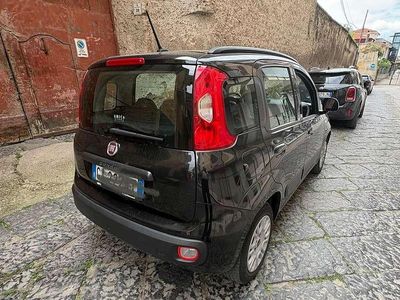 Usata Fiat Panda Lounge 69 CV (50 kW) 2021 Utilitaria