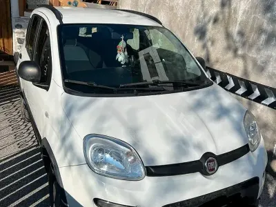 Usata Fiat Panda 4x4 85 CV (62 kW) 2019 Bianco Utilitaria