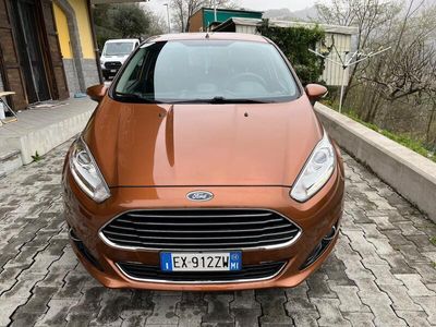 usata Ford Fiesta 1.0 EcoBoost 100CV 5 porte Individual usato