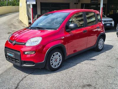 Gebraucht Fiat Panda 69 PS (50 kW) 2024 Rot Kleinwagen