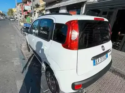 Usata Fiat Panda 85 CV (62 kW) 2014 Bianco Utilitaria