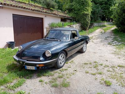 Alfa Romeo Spider