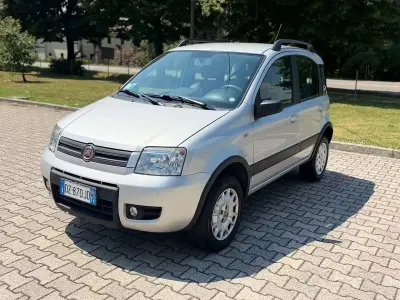 Usata Fiat Panda 4x4 60 CV (44 kW) 2009 Bronzo Utilitaria