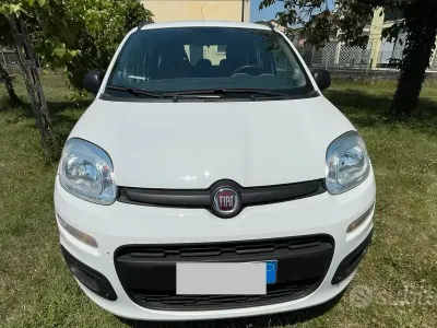 Usata Fiat Panda Pop 69 CV (50 kW) 2014 Bianco Utilitaria